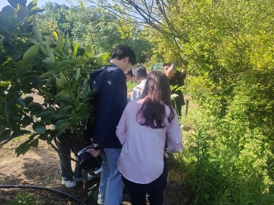 澳门铁盘算盘490777